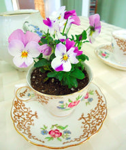Mother's Day Planter