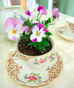 Mother's Day Planter